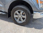 2023 F-150 Thumbnail 10
