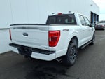 2023 F-150 Thumbnail 6