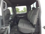 2023 F-150 Thumbnail 8