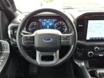 2023 F-150 Thumbnail 10