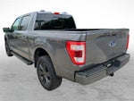 2023 F-150 Thumbnail 4