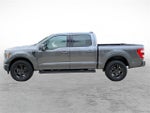 2023 F-150 Thumbnail 5