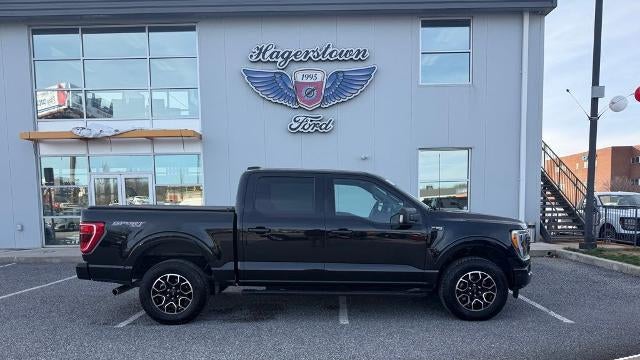 Preowned 2023 Ford F-150 XLT for Sale