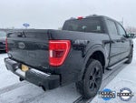 2023 F-150 Thumbnail 3