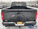 2023 F-150 Thumbnail 4
