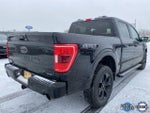 2023 F-150 Thumbnail 3