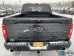 2023 F-150 Thumbnail 4