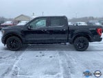 2023 F-150 Thumbnail 6