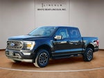 2023 F-150 Thumbnail 9