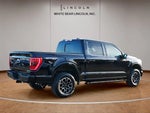 2023 F-150 Thumbnail 13