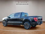 2023 F-150 Thumbnail 15
