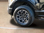 2023 F-150 Thumbnail 17
