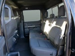 2023 F-150 Thumbnail 20