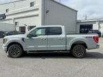 2023 F-150 Thumbnail 5