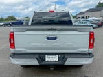 2023 F-150 Thumbnail 7