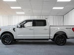 2023 F-150 Thumbnail 5