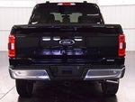 2023 F-150 Thumbnail 6