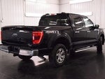 2023 F-150 Thumbnail 8