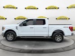 2023 F-150 Thumbnail 2