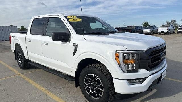 Preowned 2023 Ford F-150 XL for Sale