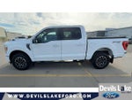 2023 F-150 Thumbnail 7