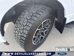 2023 F-150 Thumbnail 13