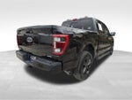 2023 F-150 Thumbnail 6