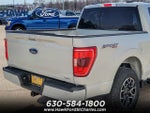 2023 F-150 Thumbnail 6