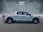 2023 F-150 Thumbnail 4