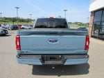 2023 F-150 Thumbnail 6