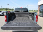 2023 F-150 Thumbnail 12