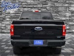 2023 F-150 Thumbnail 4