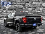 2023 F-150 Thumbnail 5