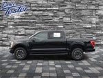 2023 F-150 Thumbnail 6