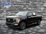 2023 F-150 Thumbnail 7