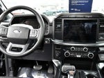 2023 F-150 Thumbnail 24