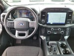 2023 F-150 Thumbnail 8