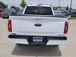2023 F-150 Thumbnail 9