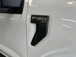2023 F-150 Thumbnail 9