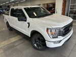 2023 F-150 Thumbnail 12