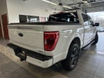 2023 F-150 Thumbnail 14