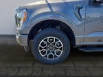 2023 F-150 Thumbnail 25