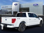 2023 F-150 Thumbnail 3