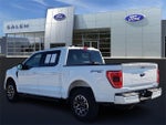 2023 F-150 Thumbnail 4
