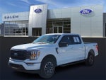 2023 F-150 Thumbnail 6