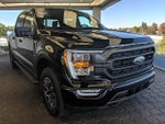 2023 F-150 Thumbnail 3