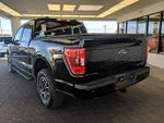 2023 F-150 Thumbnail 7