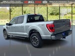 2023 F-150 Thumbnail 3