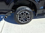 2023 F-150 Thumbnail 6