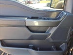 2023 F-150 Thumbnail 13